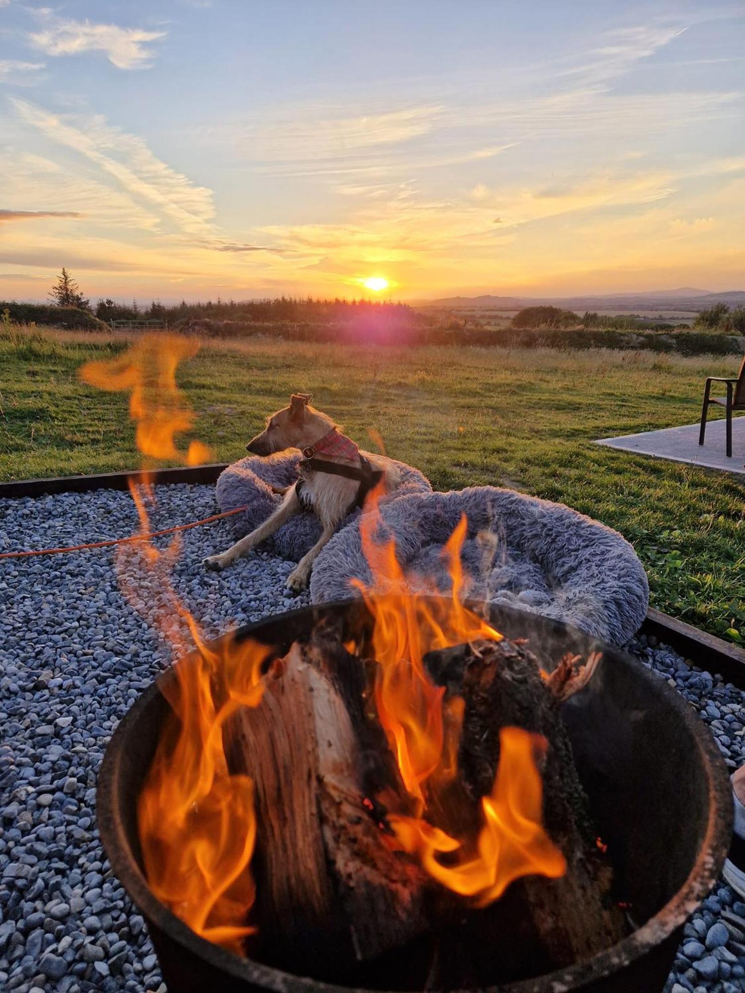 Forth Mountain Glamping Ballintlea Eksteriør billede