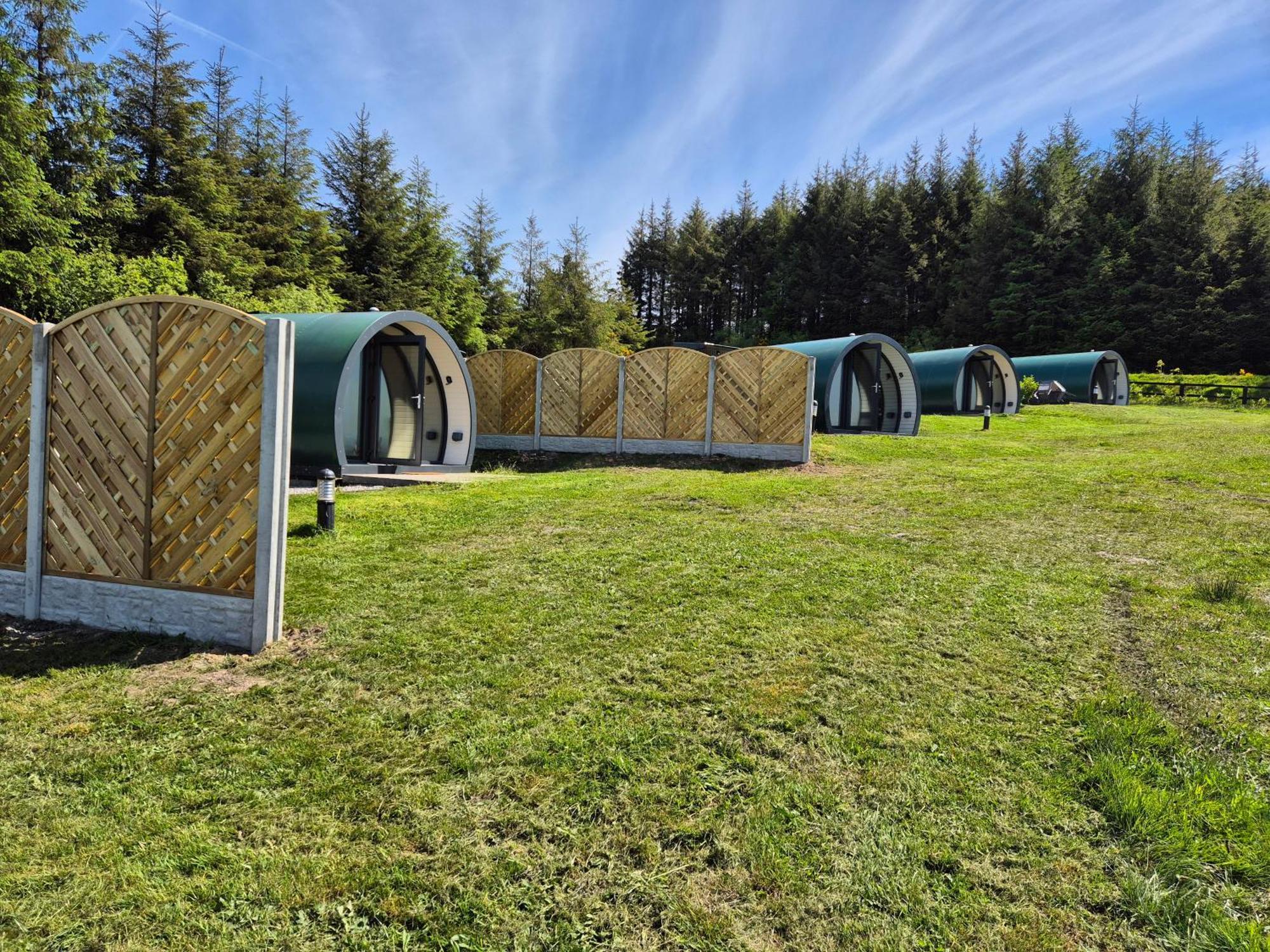 Forth Mountain Glamping Ballintlea Eksteriør billede